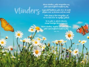 Placemat Vlinders en de Zomer