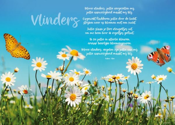 Placemat Vlinders en de Zomer